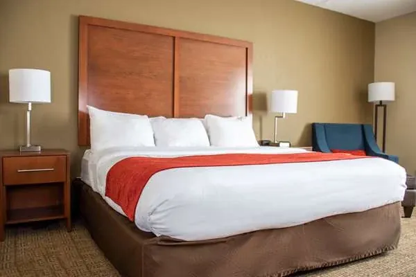 Comfort Inn, photo 3