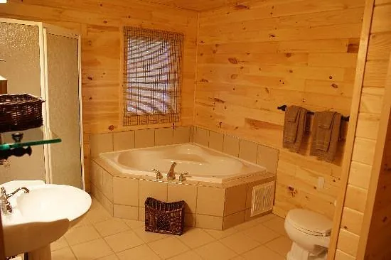 Riverfront Chalets, room with private jacuzzi, photo 1