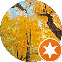 Bryan M profile picture