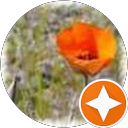 sebbie0112 profile picture