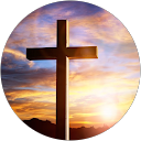 Adria Tite profile picture