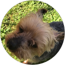 Fran B profile picture