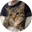 Regular Joe profile picture