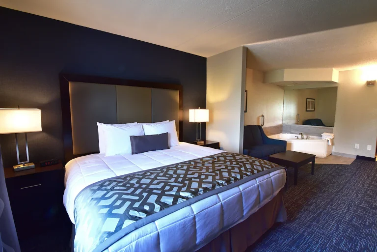 Best Western Plus Flint Airport Inn & Suites
