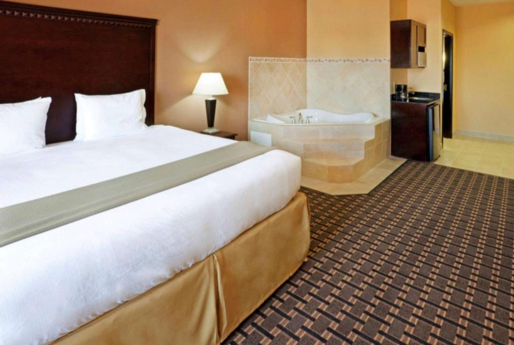 Comfort Inn & Suites Dallas Medical-Market Center 4