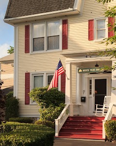 Beech Tree Inn and Cottage