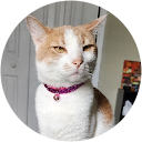 Holly Wilson profile picture