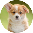 Nao profile picture