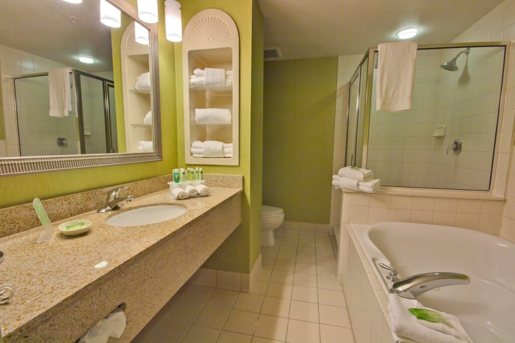 Holiday Inn Express & Suites Tampa-I-75, room with private jacuzzi, photo 3
