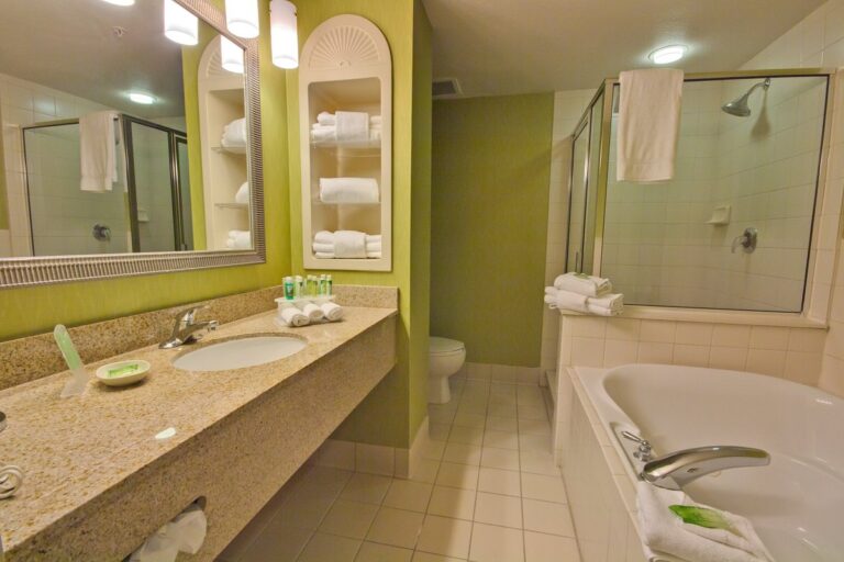 Holiday Inn Express & Suites Tampa-I-75