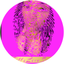 Tiffs Live Scan profile picture
