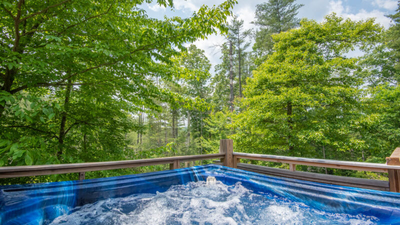 Bird’s Nest – Antique Log Cabin, cabin with a private hot tub