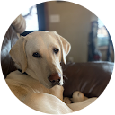 Andrew Harvey profile picture