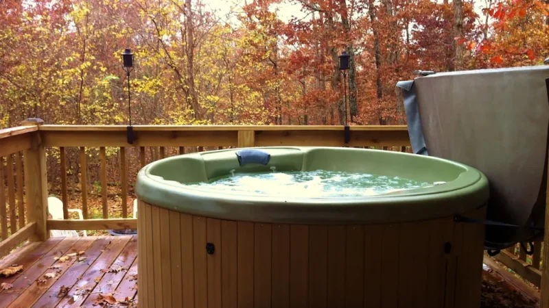 Ellens log cabin - jacuzzi hotel room