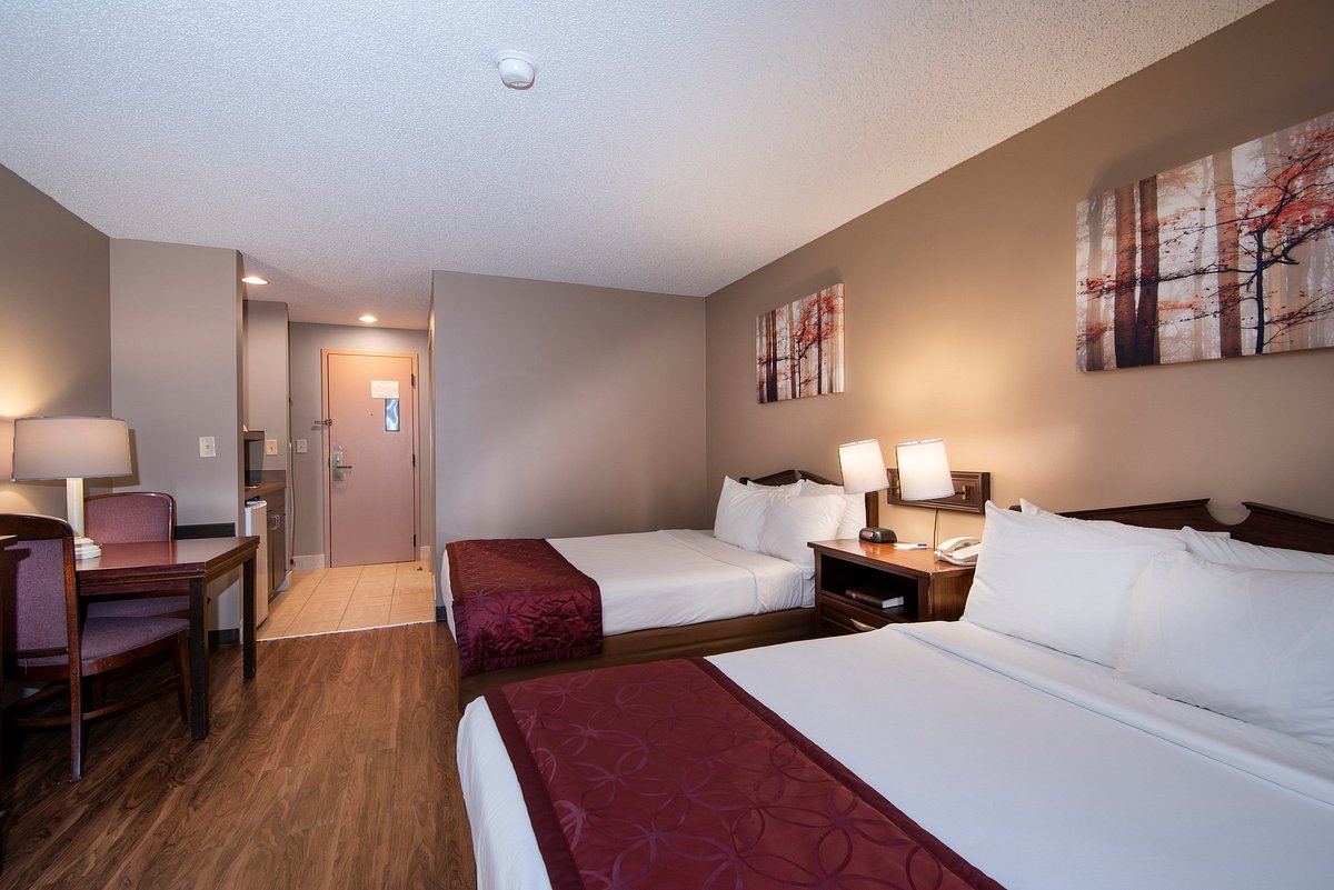 Holiday Inn Express & Suites Butte Guest Room & Suite Options