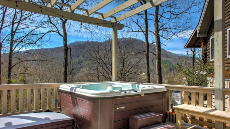 The Lodge at French Broad, cabin with a private hot tub