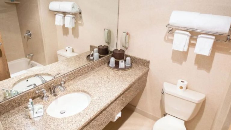 Ann Arbor Regent Hotel & Suites