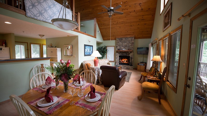 Asheville Cabins of Willow Winds, room with private jacuzzi, photo 6