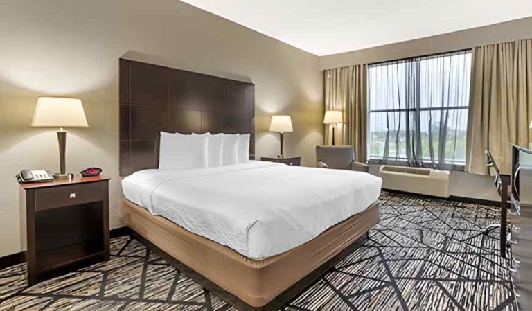 Best Western Plus Hobby Airport Inn & Suites