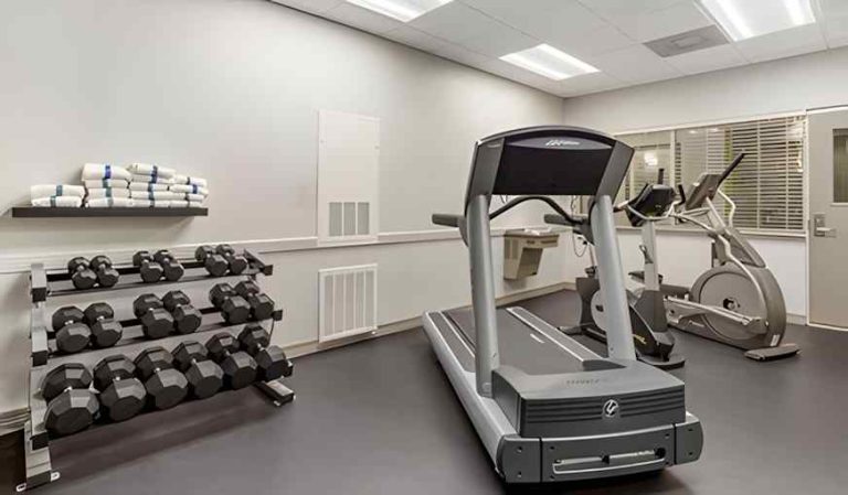 Best Western Plus Hobby Airport Inn & Suites