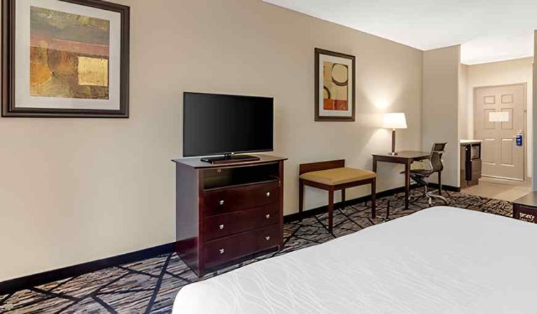 Best Western Plus Hobby Airport Inn & Suites