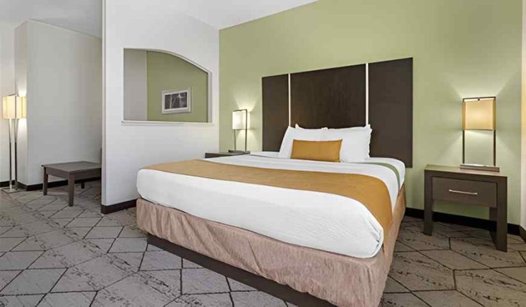 Best Western Plus North Houston Inn & Suites
