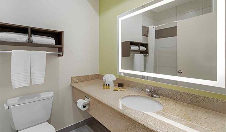 Best Western Plus North Houston Inn & Suites
