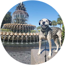 Corey Baker profile picture