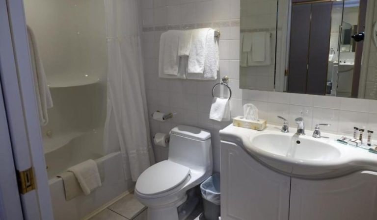 Chateau Louis Hotel & Conference Centre