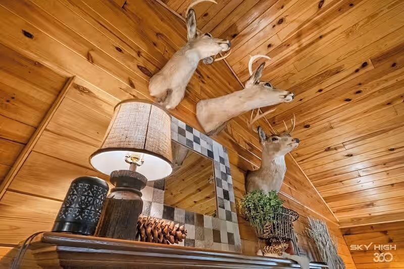Cinnamon Valley – The Whitetail, cabin with a private hot tub, photo 2