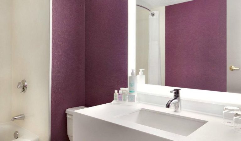 Coast Edmonton Plaza Hotel by APA