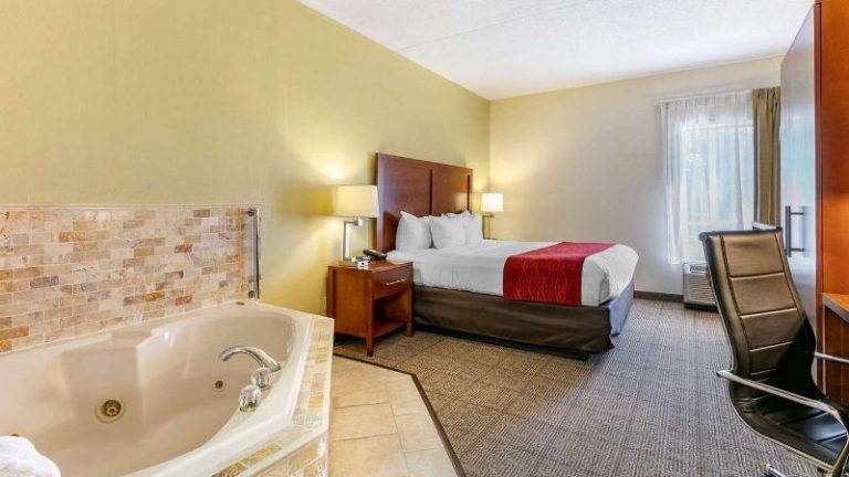 Comfort Inn Downtown