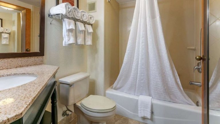 Comfort Inn Downtown