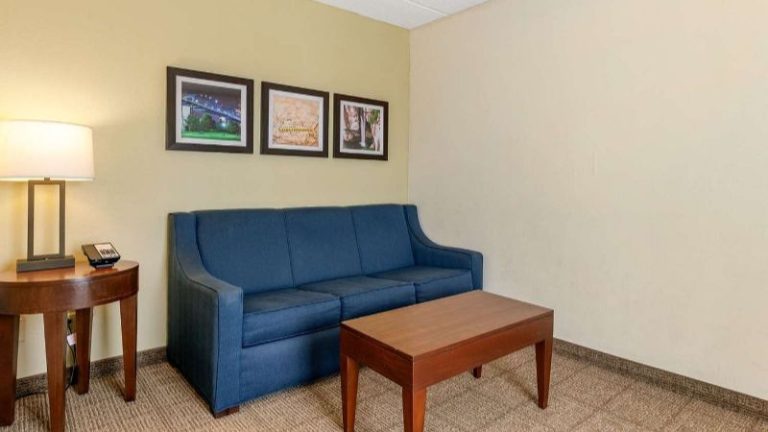 Comfort Inn Downtown