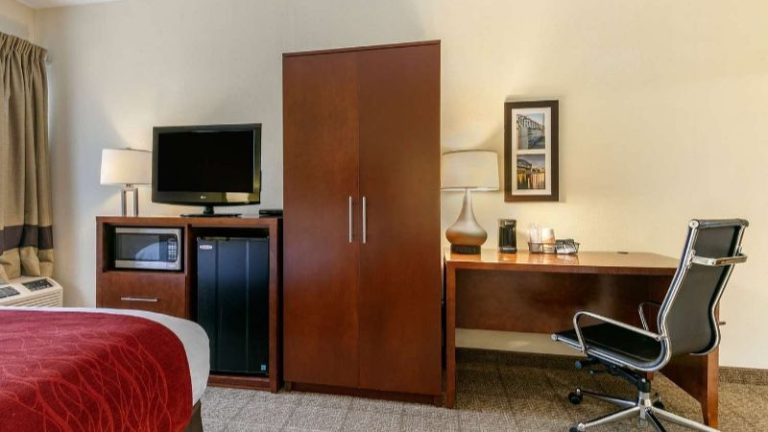 Comfort Inn Downtown