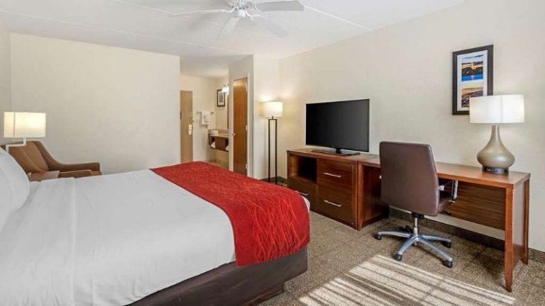 Comfort Inn Kissimmee-Lake Buena Vista South
