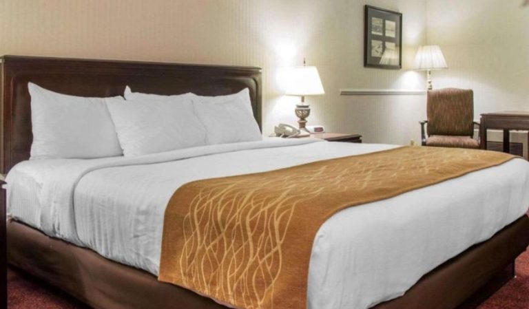 Comfort Inn Lakeside