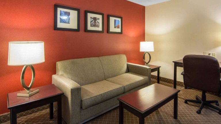 Comfort Inn & Suites Airport South