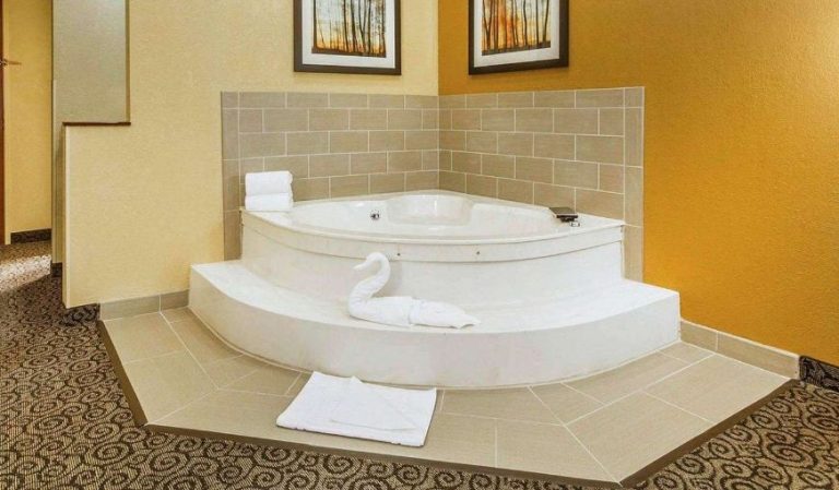 Comfort Suites Anoka