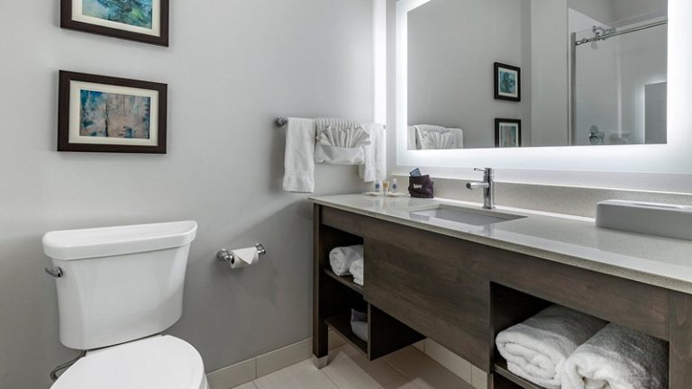 Comfort Suites Greenville Airport