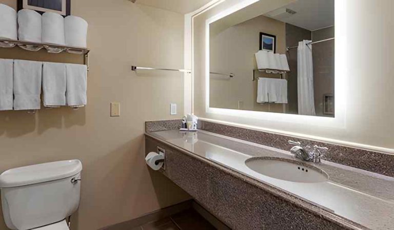 Comfort Suites near Texas Medical Center