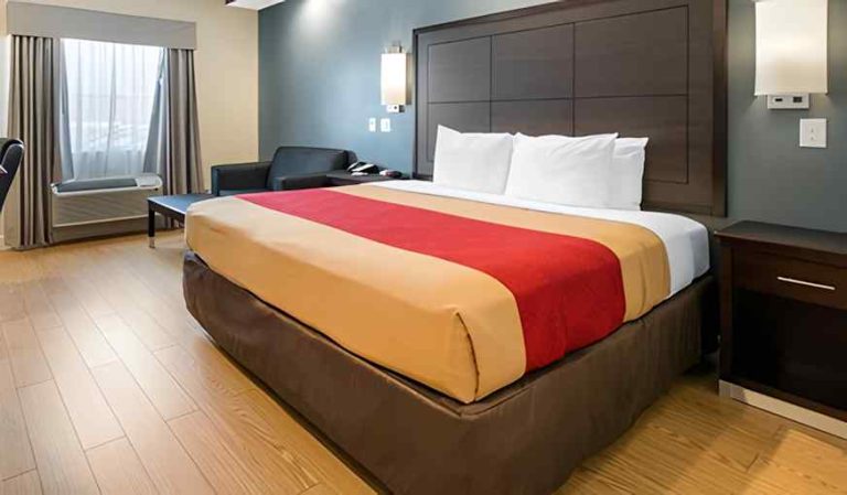Econo Lodge Inn & Suites Houston Willowbrook