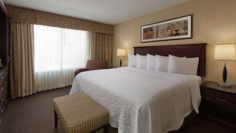 Embassy Suites by Hilton Lubbock