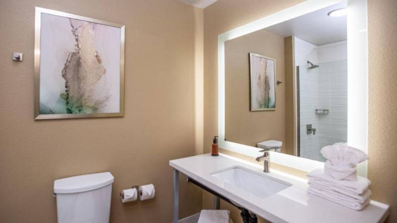 Gold Dust West Carson City, room with private jacuzzi, photo 3