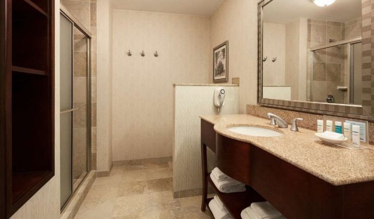 Hampton Inn & Suites Washington-Dulles International Airport