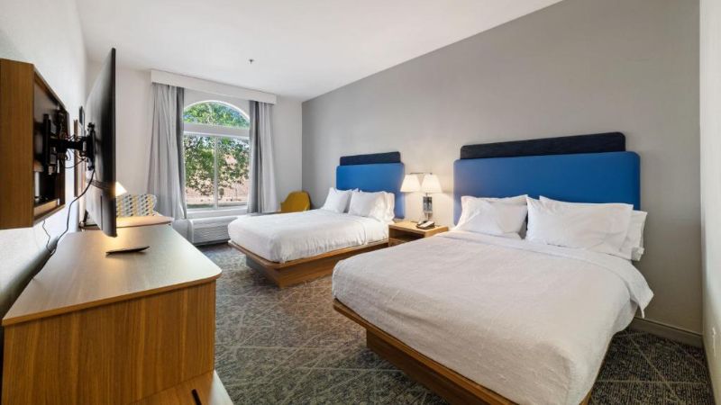 Hampton Inn & Suites by Hilton Mesquite, room with private jacuzzi, photo 3