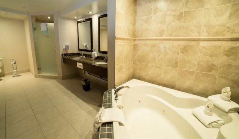 Holiday Inn & Suites West Edmonton, an IHG Hotel