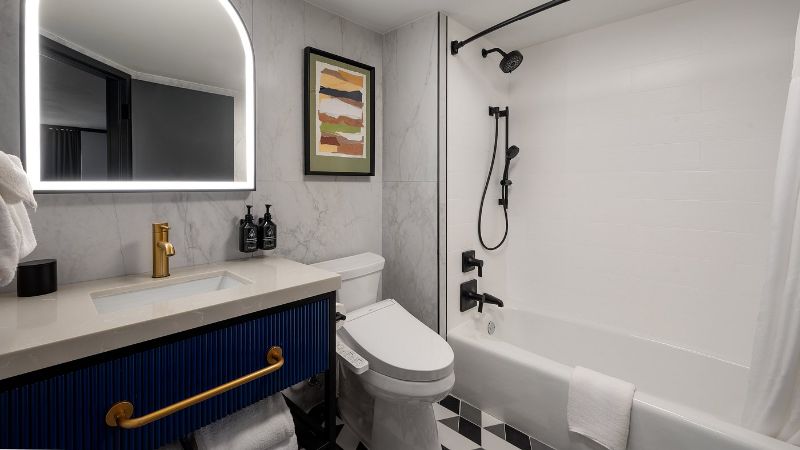 Hotel Indigo Detroit North – Troy, room with private jacuzzi, photo 2
