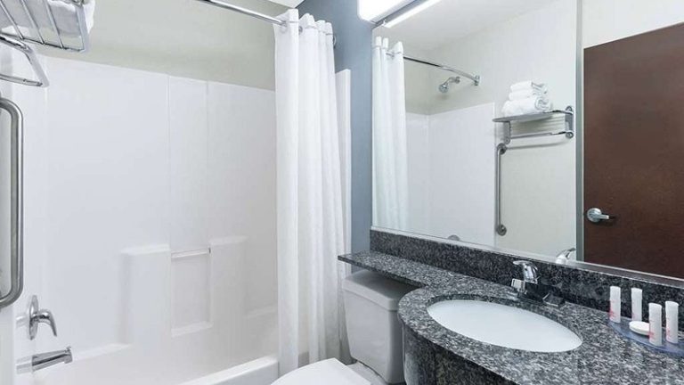Microtel Inn & Suites by Wyndham Baton Rouge Airport