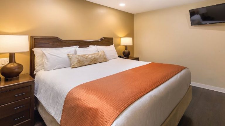 Orange Tree Resort